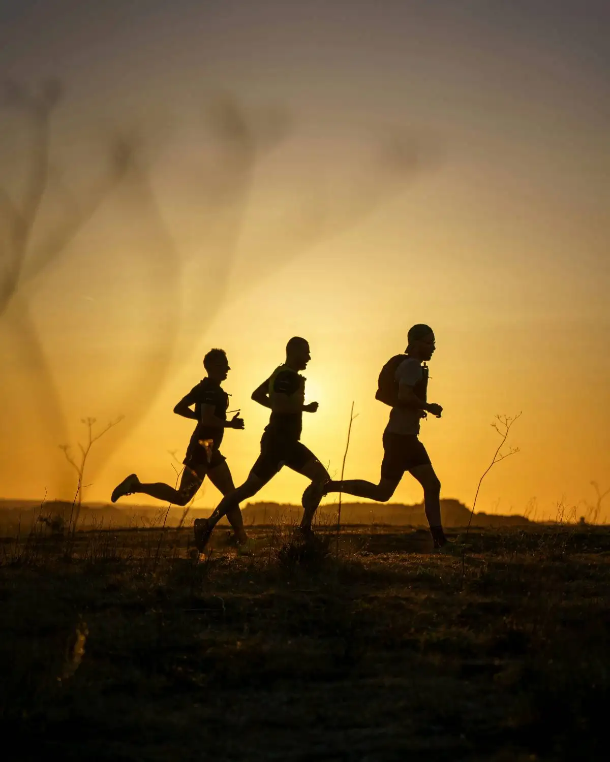 Runners gathered at a training camp, preparing for a shared long-distance run